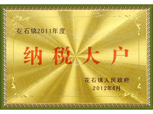 2011納稅大戶